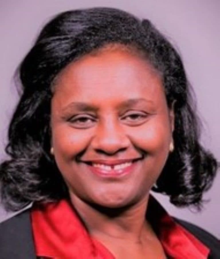 Ms. Muluemebet Chekol Hunegnaw